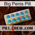 Big Penis Pill new09